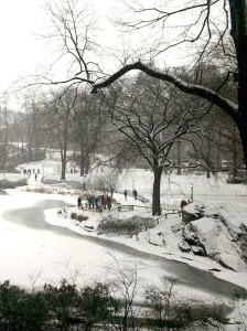紐約中央公園白雪靄靄p1096-a1-14