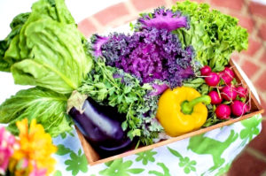 讓孩子連續15天吃到蔬菜，就能讓孩子對青菜的接受度大大提高。 p1162-a6-06