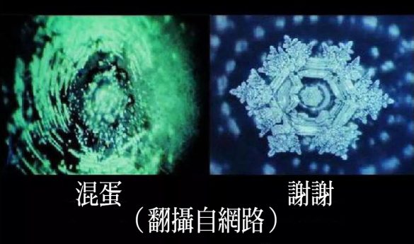 圖為世界的科學專家江本勝博士以水結晶做實驗，其實驗結果。